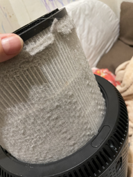 Очиститель воздуха PHILIPS AC0850/11 фото от покупателей 19
