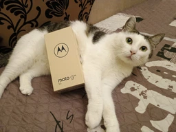 Мобильный телефон Motorola G54 Power 12/256GB eSim Midnight Blue (1002722) фото от покупателей 2