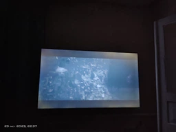 Телевізор Skyworth QLED 55Q3B AI Dolby Vision/Atmos фото від покупців 6