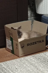 Сухий корм для дорослих котів Purina Friskies з лососем і овочами 300 г (7613031868063)