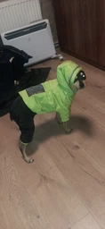 Зимний комбинезон для собак Dog S Оранжевый фото от покупателей 3