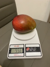 Весы кухонные электронные с дисплеем до 10 кг. деление 1 г. SF-400