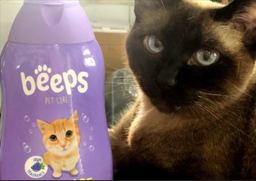 Шампунь для котів Beeps Cat Care Shampoo з екстрактом вівсяних пластівців та ароматом винограду 502 мл