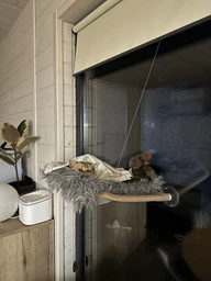Лежанка для кошек оконный гамак с присосками на окно Sunny Seat Mounted Cat Bed до 22 кг Лёгкая Бежевая (3026) фото от покупателей 1