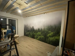 Флизелиновые 3Д фотообои Туманный хвойный лес на склоне (13907V)+клей