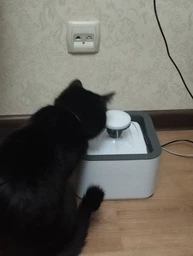 Поилка для животных Pet Water FOUNTAIN фото от покупателей 8