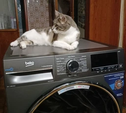 Стиральная машина Beko B3WFU5822MG фото от покупателей 8