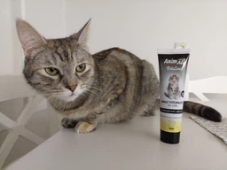 Фитопаста AnimAll VetLine для выведения шерсти для котов 100 г (4820150206642) фото от покупателей 12
