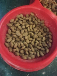 Сухий корм для дорослих стерилізованих котів Purina Cat Chow Sterilised із куркою 1.5 кг фото от покупателей 8