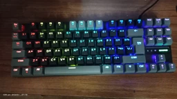 Клавіатура механічна дротова GamePro MK100R Red Switch TKL LED USB Black