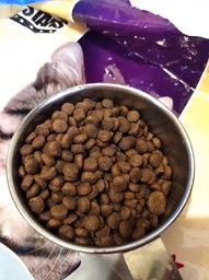 Nutra 5 Stars Easy Cook CAT 10 кг – Сухий корм для котів (М’ясне асорті) фото від покупців 11