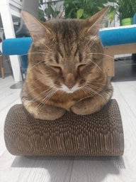 Кігтеточка дряпка з гофрокартону лежанка для котів з картонним фасадом Cat Joy Modern Whitish 54x13x25 см