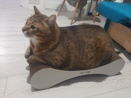 Кігтеточка дряпка з гофрокартону лежанка для котів з картонним фасадом Cat Joy Modern Whitish 54x13x25 см фото від покупців 1