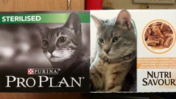 Вологий корм для стерилізованих котів Purina Pro Plan Sterilised Пуріна Проплан з куркою в підливці пауч 85 г 26 шт (7613036092852) фото від покупців 1