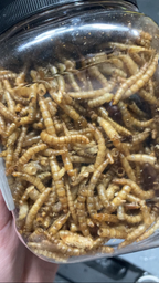 Борошняний хрущак сухий натуральний Буся Mealworm. Пакет 20г фото від покупців 8