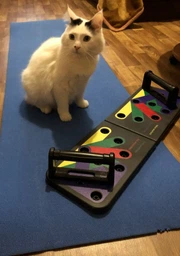 Дошка для віджимань Push Up Rack Board з упорами різним хватом Нескользящие ручки (1537PURTRNJR) TIN66 фото від покупців 11