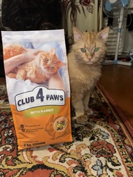 Сухий корм для котів CLUB 4 PAWS Клуб 4 лапи Premium With rabbit із кроликом 2 кг. фото от покупателей 18