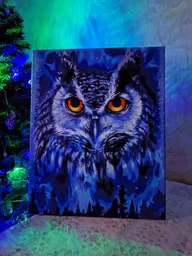 Картина по номерам 40×50 см Kontur. Мудрая сова. DS0501