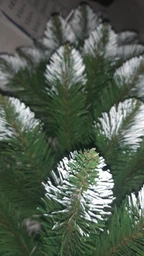Штучна Ялинка Royal Tree RT-6-5 Олімпійська засніжена 180 см зелена
