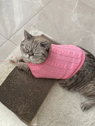 Светр для котів (кішок) Преміум M Блакитний фото від покупців 3