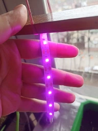 Светодиодная ФитоЛента для Комнатных Растений с 5V USB 2835 Фитолампа Полный Спектр от GrowLight 1 Метр (L363F) фото от покупателей 8