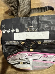Сухой корм Purina Pro Plan Adult 1+ Delicate Digestion для кошек с чувствительным пищеварением с ягненком 3 кг фото от покупателей 3