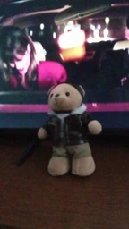Ведмідь-пілот Mil-Tec військовий сувенір великий TEDDY PILOT 20 CM (16429000) фото от покупателей 4