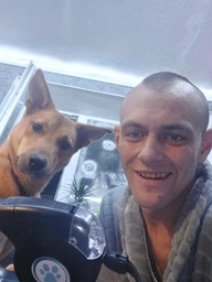 Повідець рулетка для собак 3 в 1 з ліхтариком та відсіком для пакетиків жовтий 4,5 м вага собаки до 35 кг Art Planet + ліхтарик в подарунок