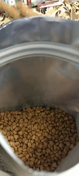 Корм для кошек с чувствительным пищеварением Savory Gourmand Fresh Lamb & Turkey 2 кг, с ягненком и индейкой фото от покупателей 12