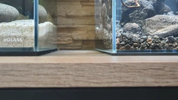 Акваріум Collar aGLASS Nano 27 л (0395) фото від покупців 7