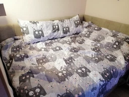 Покрывало Руно с ультразвуковой стежкой 150х212 см Полуторный Grey Cat двустороннее (Р360.52_Grey Cat)