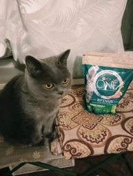 Сухий корм PURINA ONE Adult Dual Nature Spirulina для дорослих котів, з куркою 1.4кг (7613036269025) фото від покупців 6