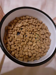 Сухий корм для кішок Purina Pro Plan Sterilised з кроликом 10 кг (7613033566486) фото від покупців 1