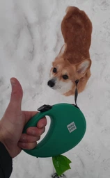 Поводок-рулетка для собак WAUDOG R-leash с контейнером для пакетов светоотражающая лента M до 20 кг 5 м Черный (26281Collar) фото от покупателей 4