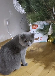 Сухой корм для кошек Optimeal Sterilised с лососем 10 кг (4820215368179) фото от покупателей 3