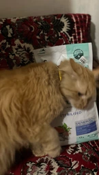 Сухой корм для кошек Optimeal Sterilised с лососем 10 кг (4820215368179) фото от покупателей 1