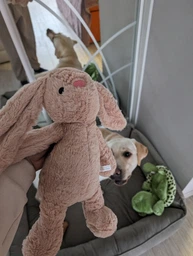 Кролик Trixie Bunny з пищалкою 38 см Сірий (4011905358864)