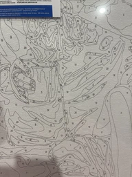 Картина по номерам Brushme История пионов 40 x 50 (BS52470)