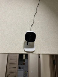 IP-камера TP-LINK Tapo C100 фото от покупателей 6