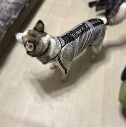 Дождевик с капюшоном Yiwu для собак, комбинезон прозрачный унисекс, 4XL (054M-WHITE)