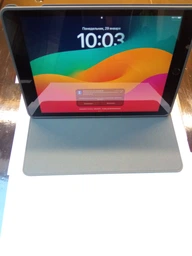 Чехол обложка BBM1 DEER Soft для iPad 10.2" 2019/2020/2021 Малиновый фото от покупателей 6