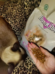 Сухий корм BonaCibo Cat Adult Light & Sterilized для стерилізованих кішок, 5 кг фото від покупців 10