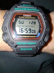 Часы мужские наручные Casio DW-290-1V
