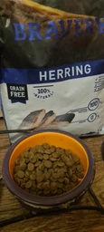 Беззерновий корм для стерилізованих котів з оселедцем BRAVERY Herring Adult Cat Sterilized 600 г фото від покупців 2