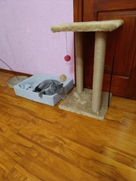 Когтеточка для кота дряпка Мур-Мяу Гламур 37х37х64 см для кошек в сизалевой веревке Светло Бежевый фото от покупателей 2