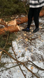 Топор универсальный Fiskars X7 XS (1015618/121423) фото от покупателей 5
