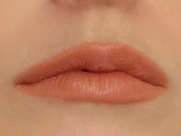 Набор помад Dragon Ranee Peony Matte Lipstick Set 4 шт фото от покупателей 3