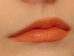 Набор помад Dragon Ranee Peony Matte Lipstick Set 4 шт фото от покупателей 2