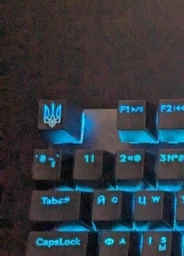 Клавиатура механическая проводная RZTK Mamba TKL Kailh Black Speed USB фото от покупателей 19