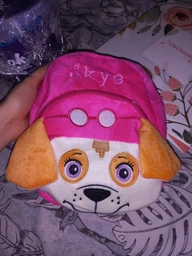 Рюкзак детский Paw Patrol Щенячий патруль Скай 23х18 см Розовый фото от покупателей 4